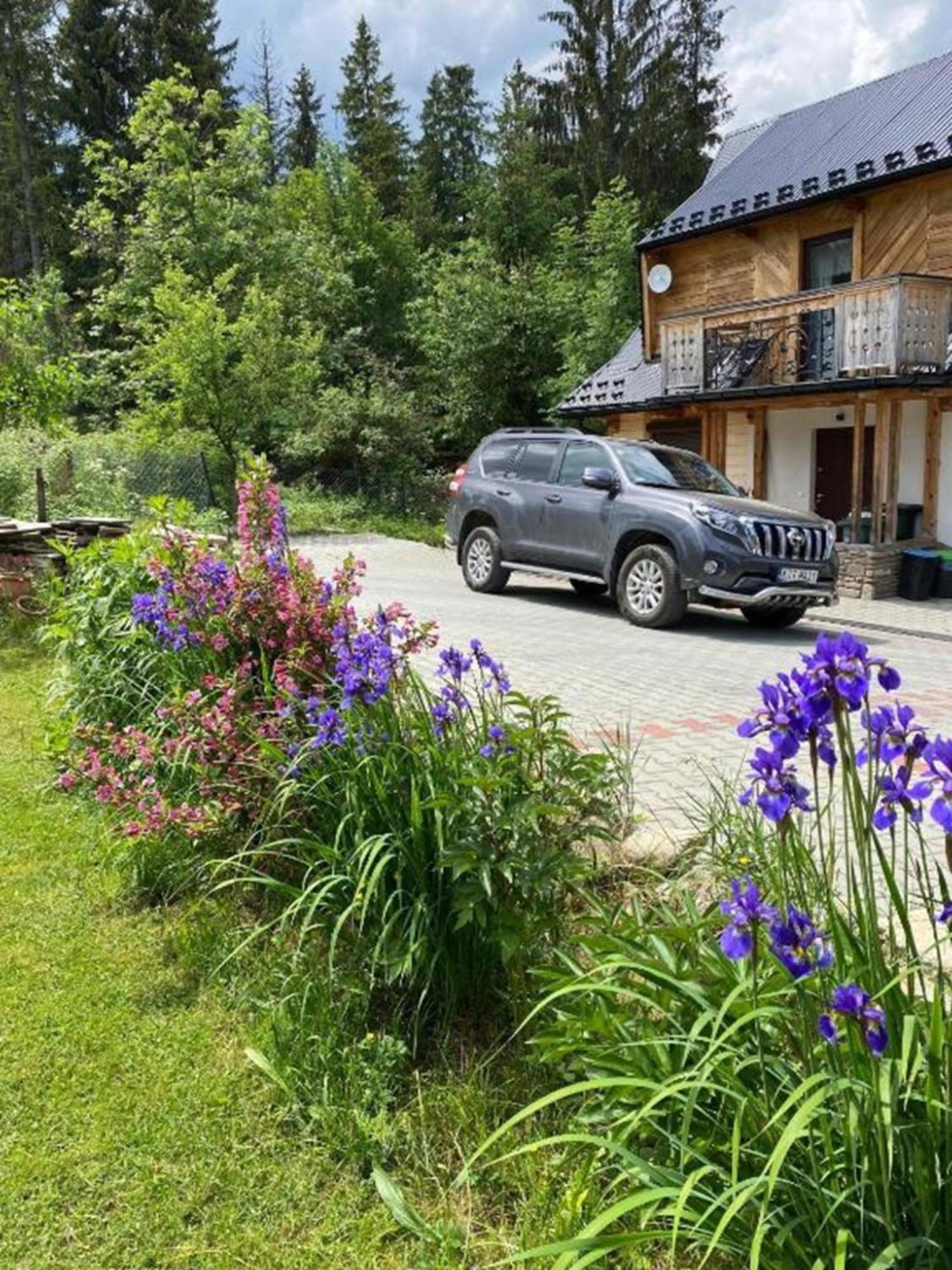 Domki na Wyskówkach Zakopane Exterior foto